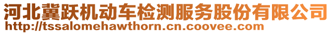 河北冀躍機(jī)動車檢測服務(wù)股份有限公司