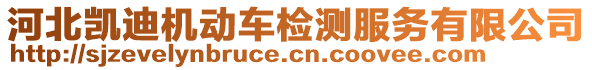 河北凯迪机动车检测服务有限公司