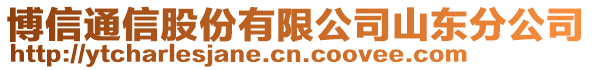 博信通信股份有限公司山東分公司