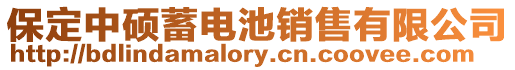 保定中碩蓄電池銷售有限公司