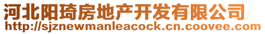 河北陽(yáng)琦房地產(chǎn)開(kāi)發(fā)有限公司