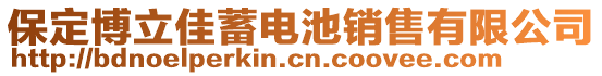 保定博立佳蓄電池銷售有限公司