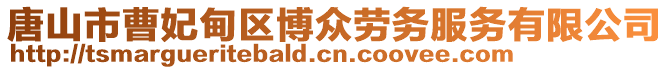 唐山市曹妃甸區(qū)博眾勞務(wù)服務(wù)有限公司