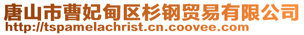 唐山市曹妃甸区杉钢贸易有限公司