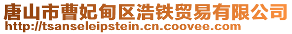 唐山市曹妃甸區(qū)浩鐵貿(mào)易有限公司