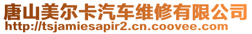 唐山美爾卡汽車維修有限公司