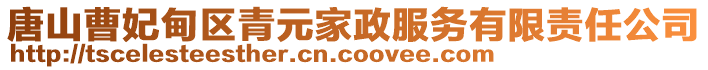 唐山曹妃甸区青元家政服务有限责任公司