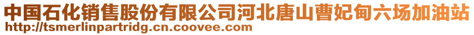 中國石化銷售股份有限公司河北唐山曹妃甸六場加油站