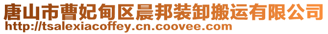 唐山市曹妃甸區(qū)晨邦裝卸搬運有限公司