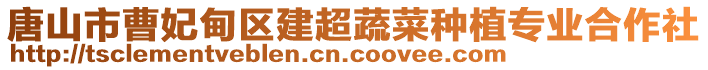 唐山市曹妃甸區(qū)建超蔬菜種植專業(yè)合作社