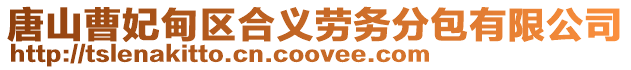 唐山曹妃甸區合義勞務分包有限公司