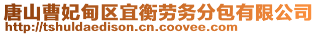 唐山曹妃甸區(qū)宜衡勞務分包有限公司