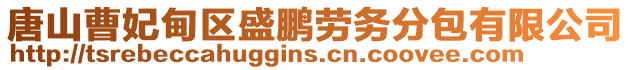 唐山曹妃甸區盛鵬勞務分包有限公司