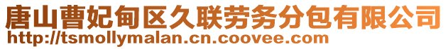 唐山曹妃甸區久聯勞務分包有限公司