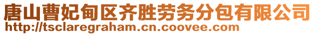 唐山曹妃甸區(qū)齊勝勞務(wù)分包有限公司