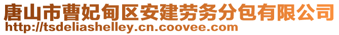 唐山市曹妃甸區(qū)安建勞務分包有限公司