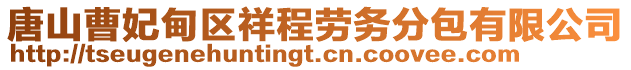 唐山曹妃甸區祥程勞務分包有限公司