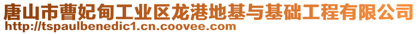 唐山市曹妃甸工業(yè)區(qū)龍港地基與基礎(chǔ)工程有限公司