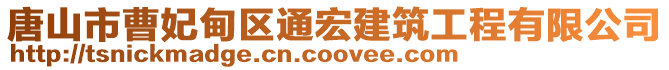 唐山市曹妃甸區(qū)通宏建筑工程有限公司