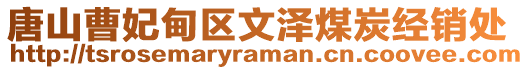 唐山曹妃甸區(qū)文澤煤炭經(jīng)銷處