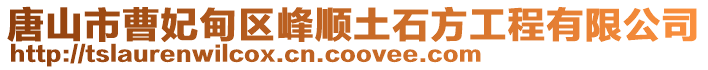 唐山市曹妃甸區峰順土石方工程有限公司