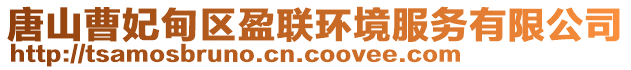 唐山曹妃甸區(qū)盈聯(lián)環(huán)境服務(wù)有限公司