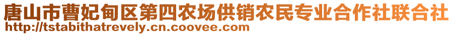 唐山市曹妃甸区第四农场供销农民专业合作社联合社