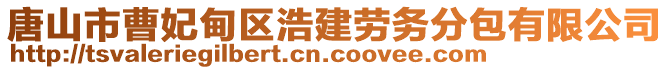 唐山市曹妃甸區(qū)浩建勞務(wù)分包有限公司