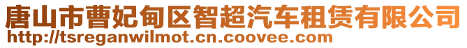 唐山市曹妃甸區(qū)智超汽車租賃有限公司