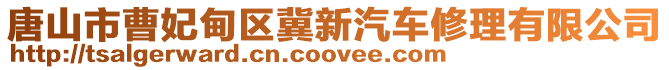 唐山市曹妃甸區(qū)冀新汽車修理有限公司