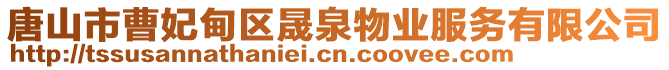 唐山市曹妃甸區(qū)晟泉物業(yè)服務(wù)有限公司