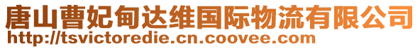 唐山曹妃甸達(dá)維國(guó)際物流有限公司