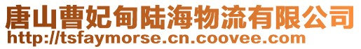 唐山曹妃甸陸海物流有限公司