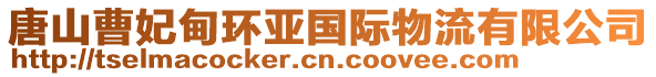 唐山曹妃甸環(huán)亞國際物流有限公司