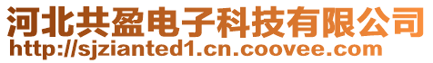 河北共盈電子科技有限公司