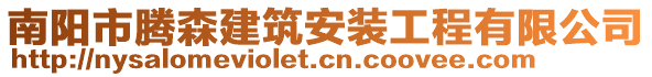 南陽市騰森建筑安裝工程有限公司