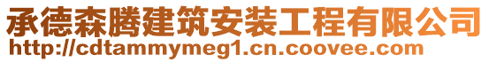 承德森騰建筑安裝工程有限公司