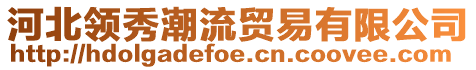 河北領(lǐng)秀潮流貿(mào)易有限公司