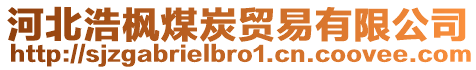 河北浩楓煤炭貿(mào)易有限公司