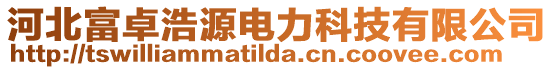 河北富卓浩源電力科技有限公司