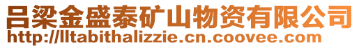 呂梁金盛泰礦山物資有限公司