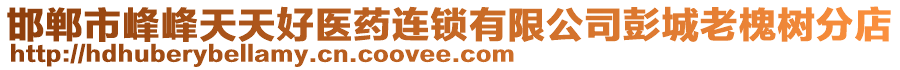 邯鄲市峰峰天天好醫(yī)藥連鎖有限公司彭城老槐樹分店