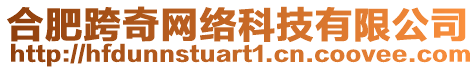 合肥跨奇網(wǎng)絡(luò)科技有限公司