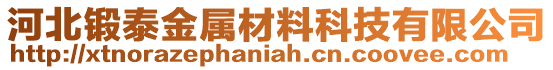 河北鍛泰金屬材料科技有限公司