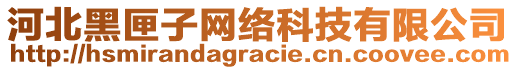 河北黑匣子網(wǎng)絡(luò)科技有限公司