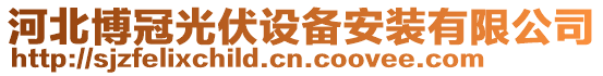 河北博冠光伏設(shè)備安裝有限公司