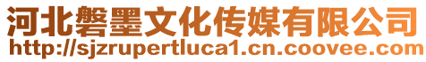 河北磐墨文化傳媒有限公司