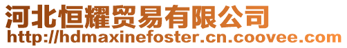 河北恒耀貿易有限公司