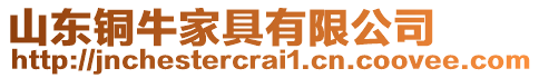 山東銅牛家具有限公司