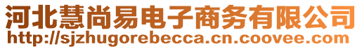 河北慧尚易電子商務(wù)有限公司